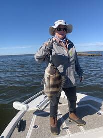 St. Bernard Report Photo 1