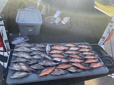 Clearwater Verslag Foto 1