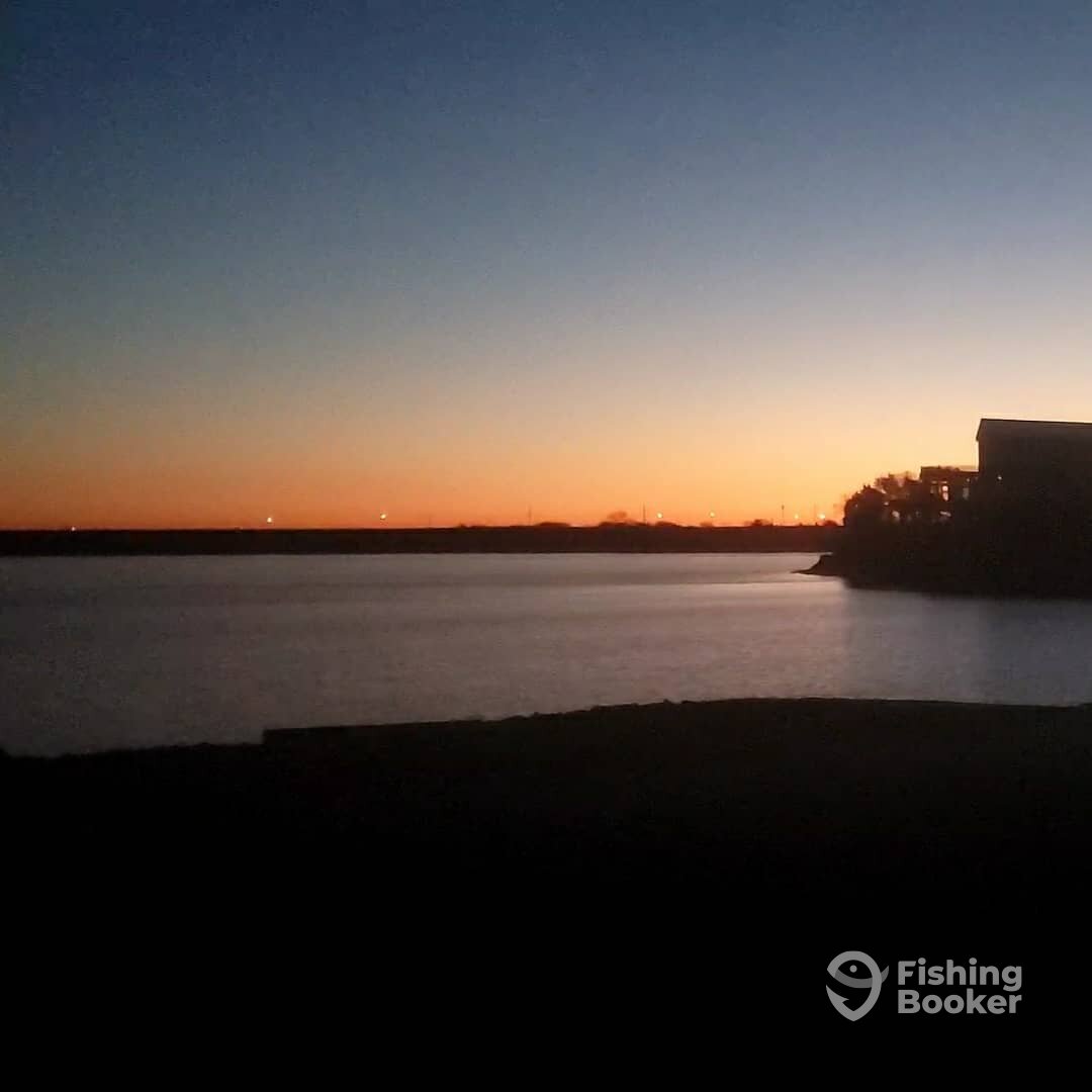 Grapevine Report Photo 0