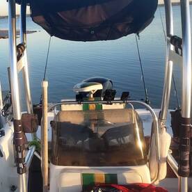 Grapevine Report Photo 2