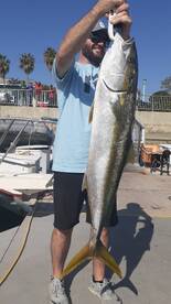 best fight on 20 lb test big Yellowtail/Amberjack
