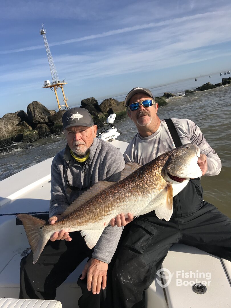 Venice Report Photo 0