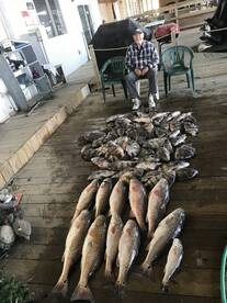 Venice Report Photo 2