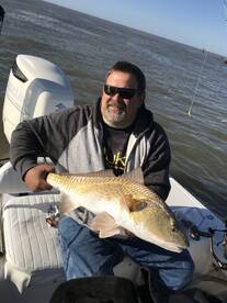 Venice Report Photo 1