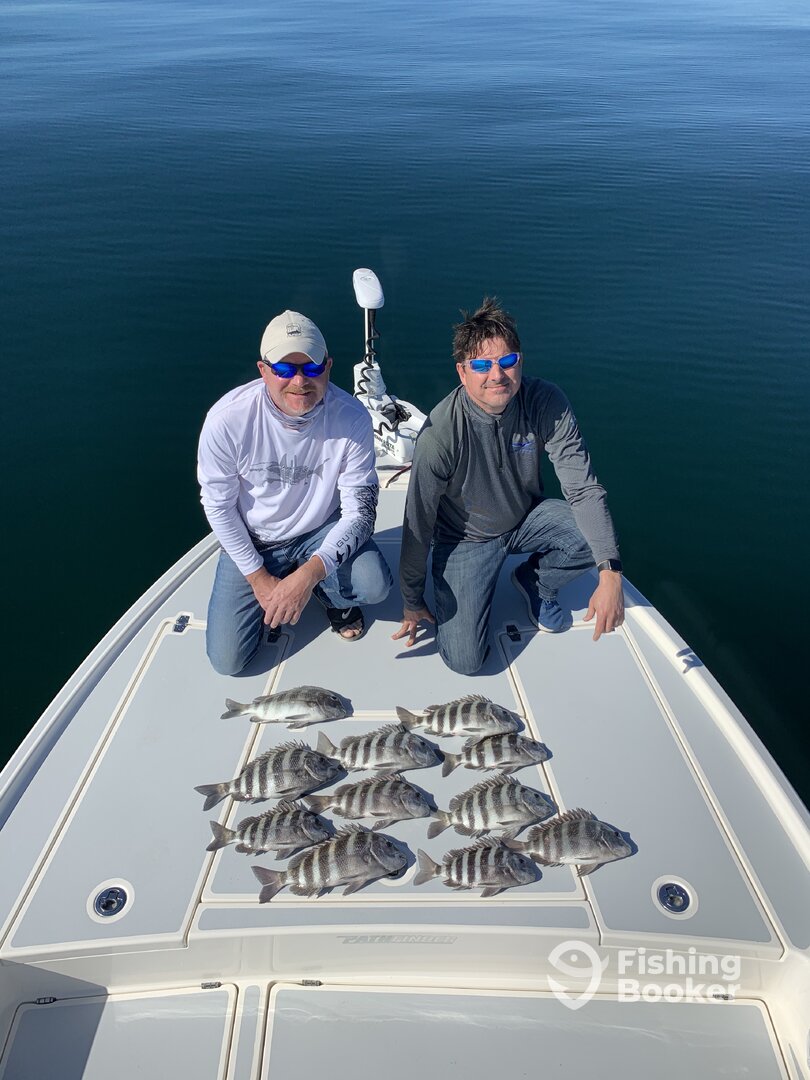 Marco Island Report Photo 0