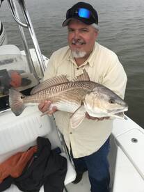 Venice Report Photo 2