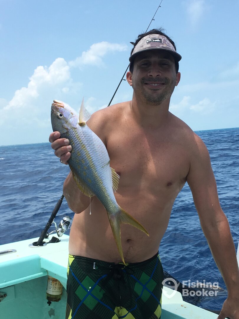 YELLOWTAIL SNAPPER 