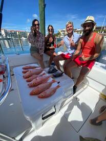 Contender 32 The best for bottom fishing