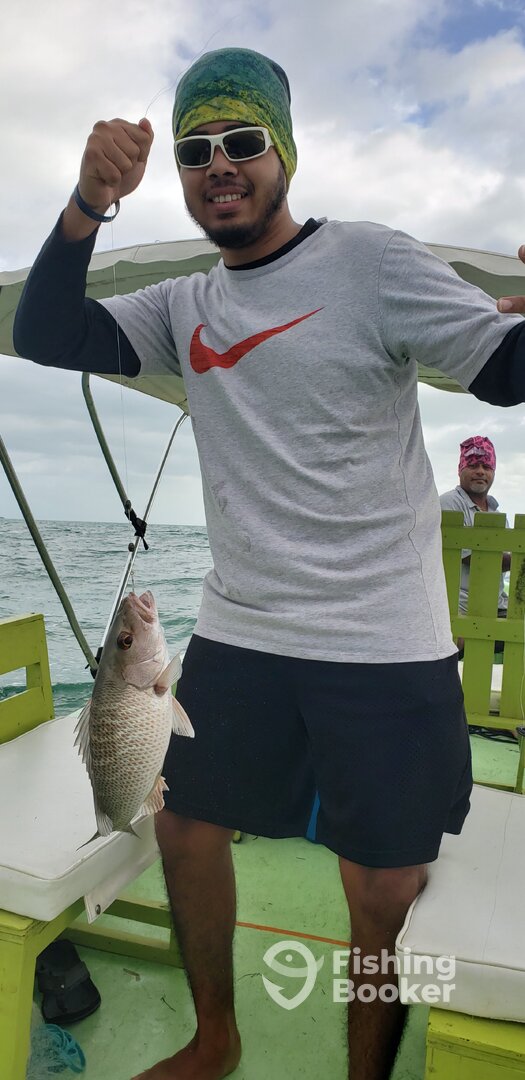 San Pedro Report Photo 0