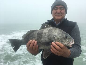 Longboat Key Report Photo 1