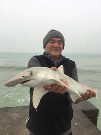 Sarasota winter fish biting on beach! 