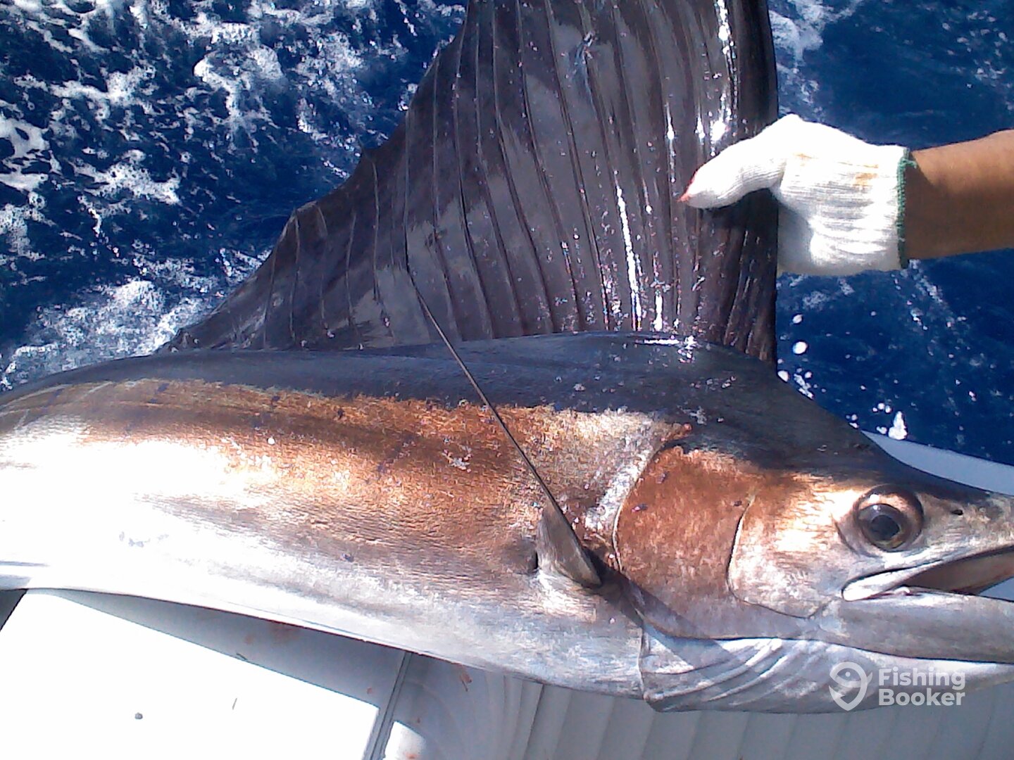 San Juan Report Photo 0