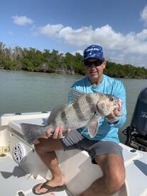 Marco Island Report Photo 1