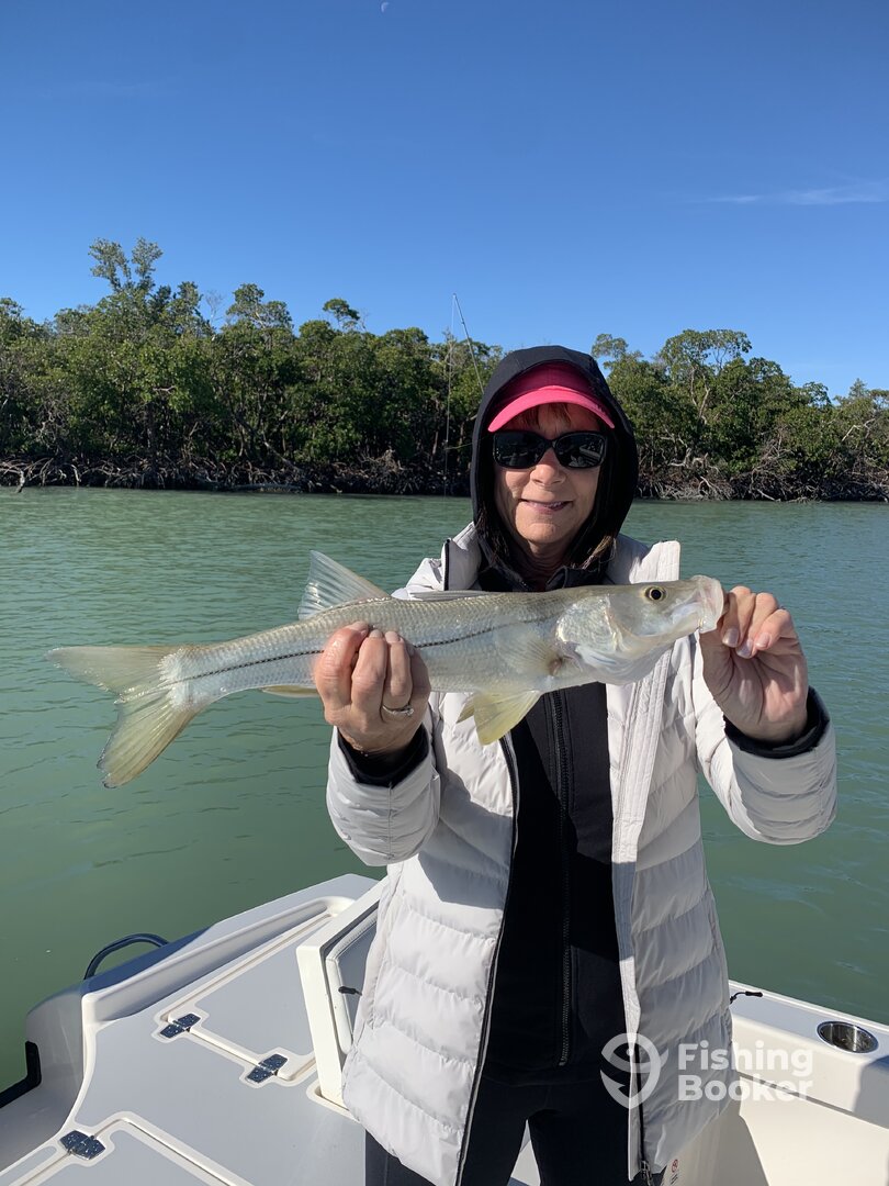 Marco Island Report Photo 0