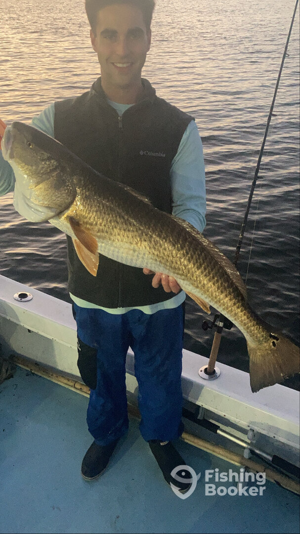 Tampa Report Photo 0