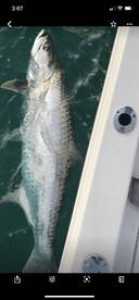 Islamorada Report Photo 1