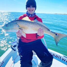 Gulf Breeze Report Photo 1