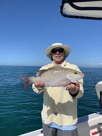 Marco Island Report Photo 1