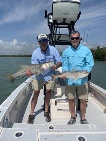 Marco Island Report Photo 2