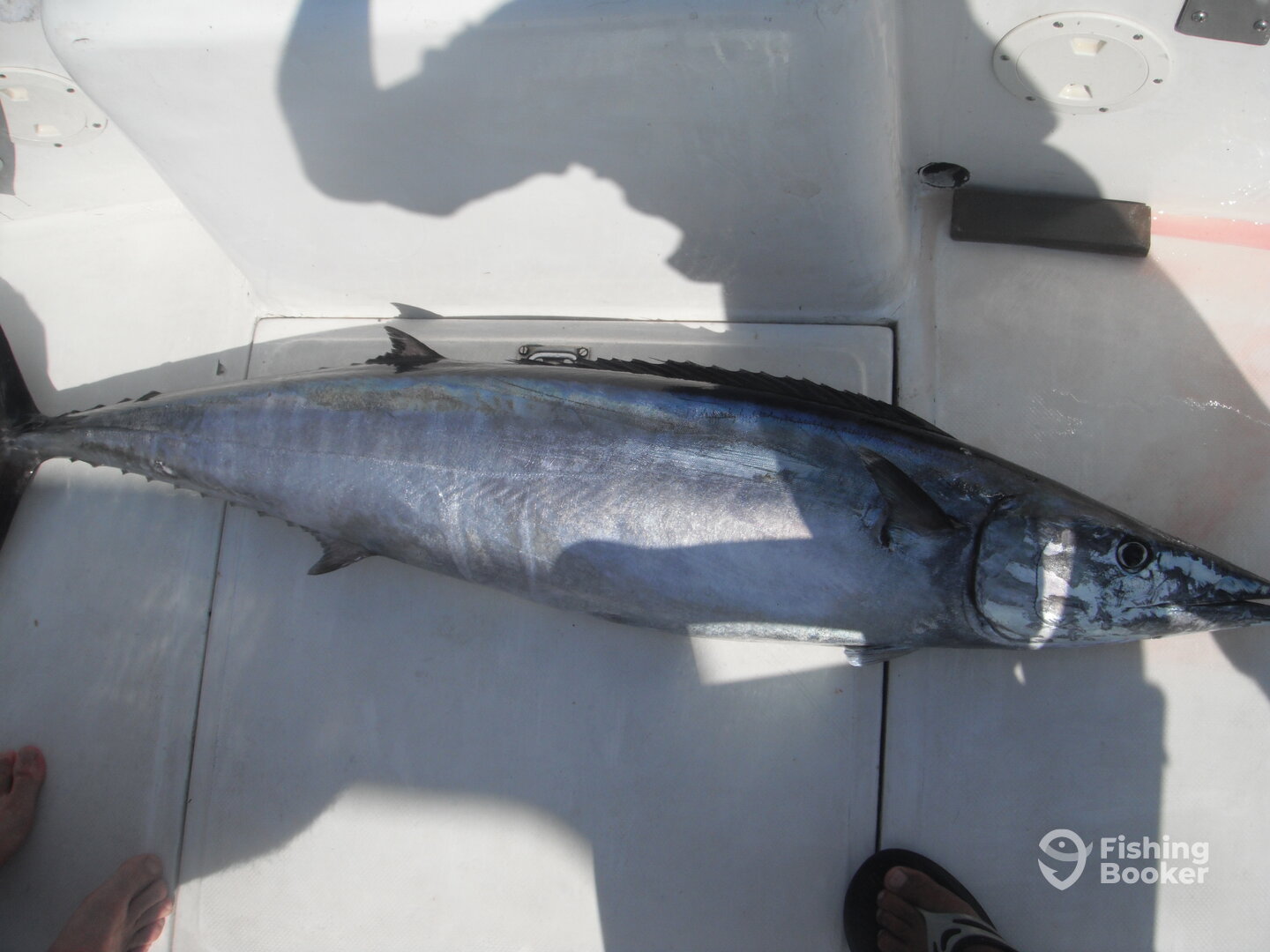 Cabo San Lucas Report Photo 0