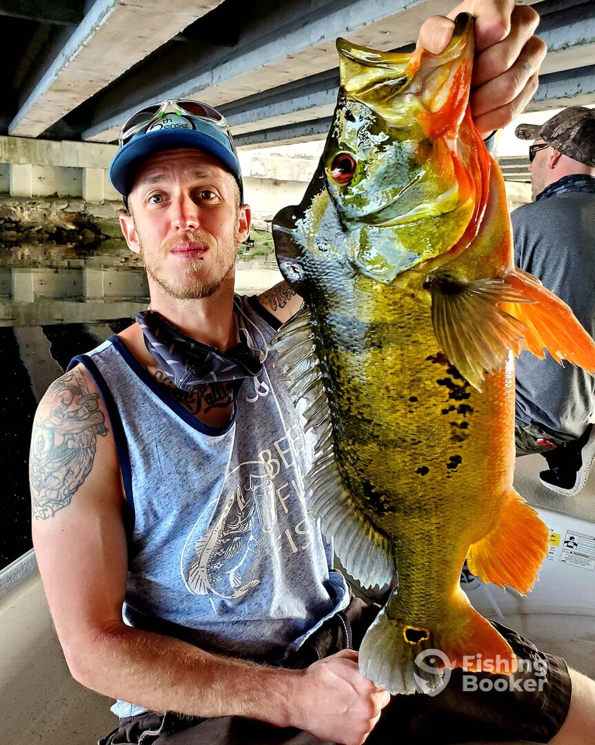 Delray Beach Report Photo 0