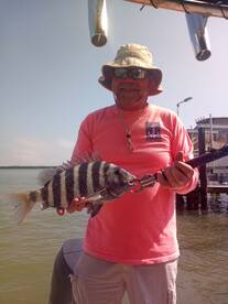 Bonita Springs Report Photo 1