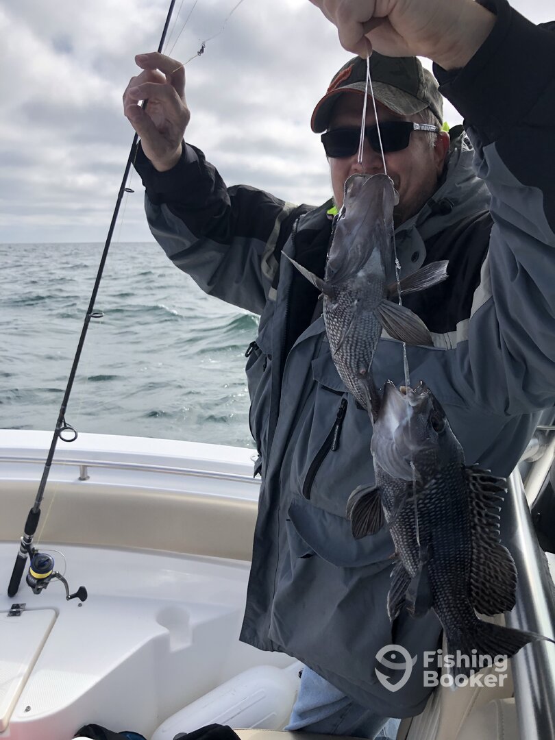 Midway Report Photo 0