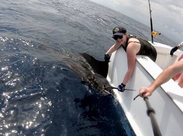 Quepos Report Photo 2