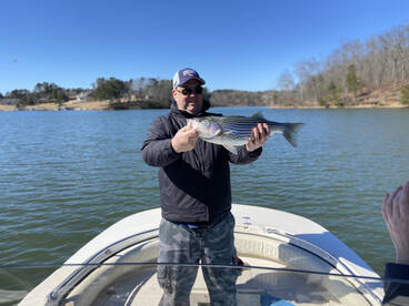 Cumming Report Photo 1