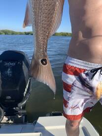 Clearwater Report Photo 1