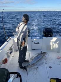 Miami Report Photo 2