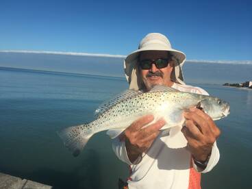 Trout chasing baits on the beach now! 