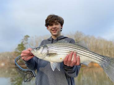 Cumming Report Photo 1