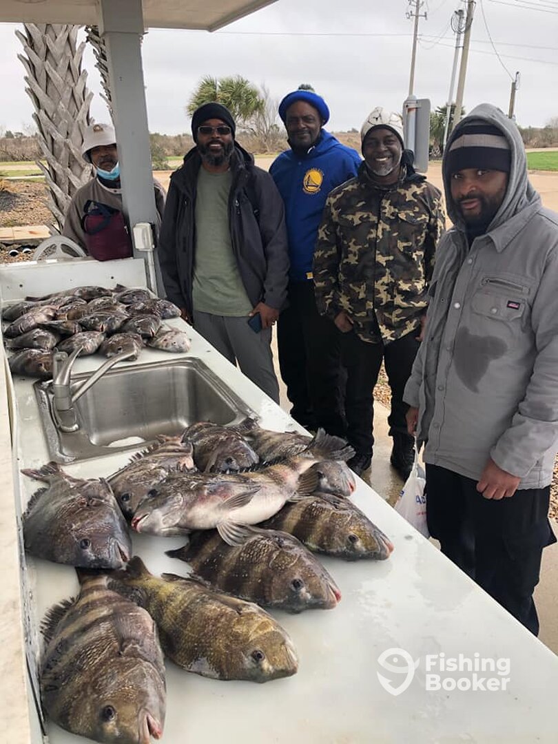 Galveston Report Photo 0