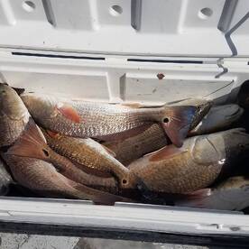  Transition to Spring time weather 