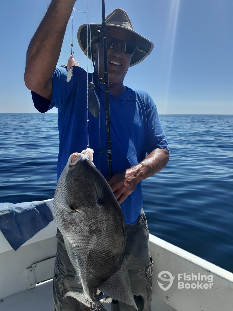 Orange Beach Report Photo 0