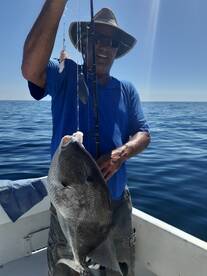 Big Triggerfish are on fire! Lets go fis