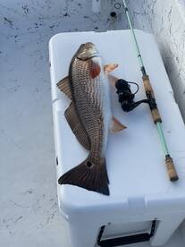 St. Marks Report Photo 1