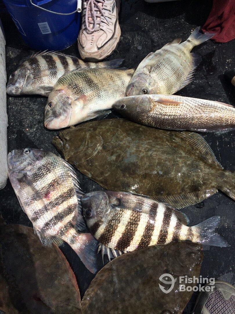 St. Augustine Report Photo 0