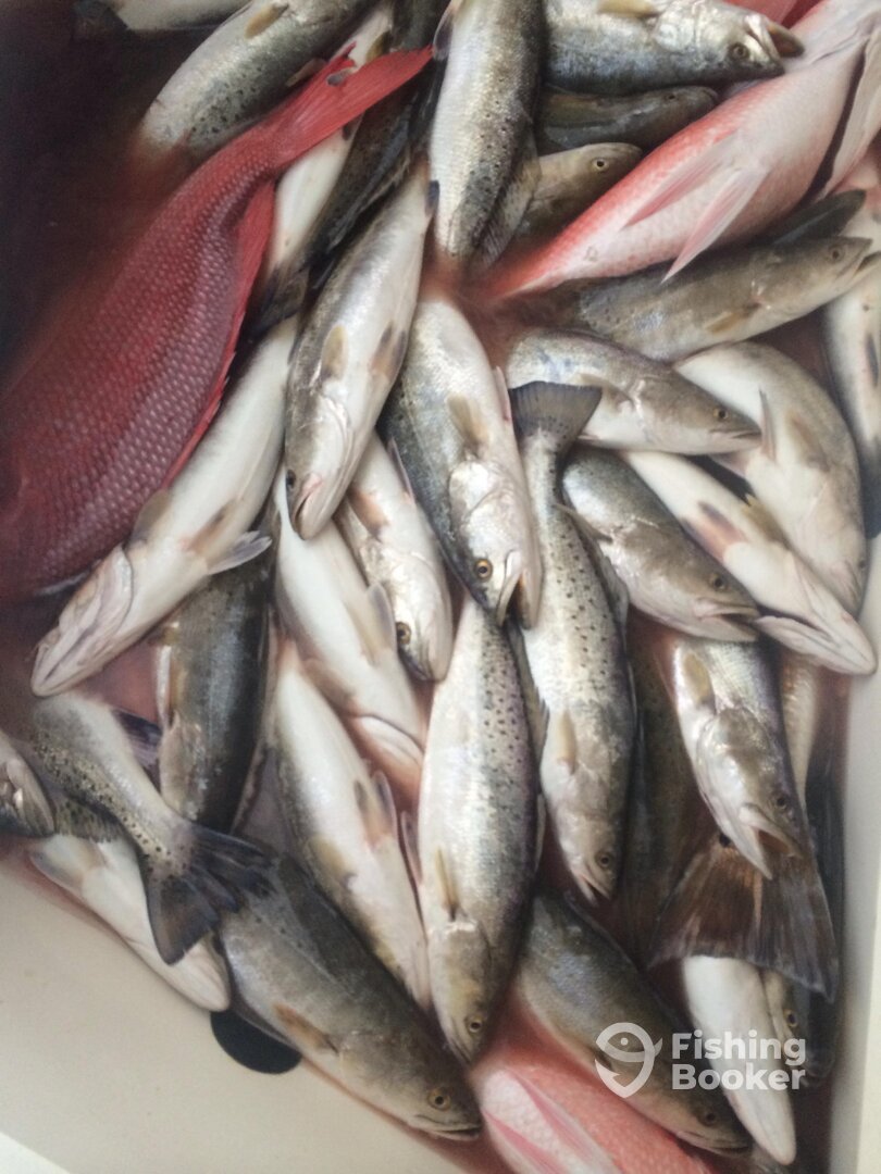 Venice Report Photo 0