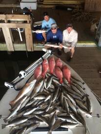 Venice Report Photo 1