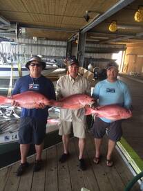 Venice Report Photo 2