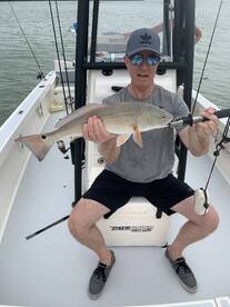 Marco Island Report Photo 1