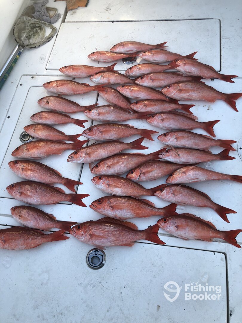 Gulf Shores Report Photo 0