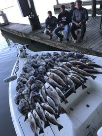 Venice Report Photo 2