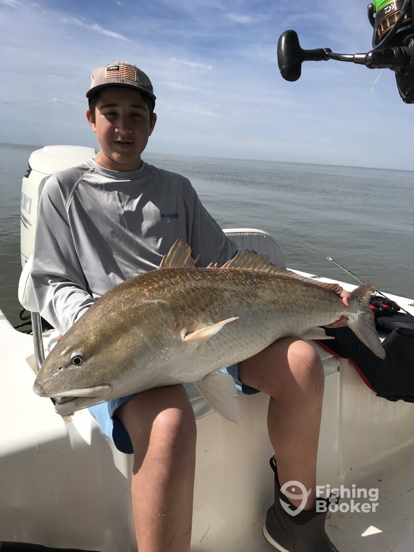 Venice Report Photo 0