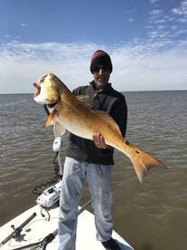 Venice Report Photo 1