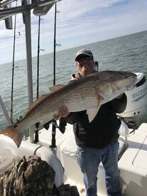 Venice Report Photo 2