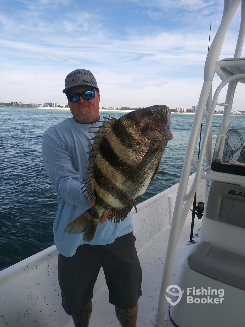 Orange Beach Report Photo 0