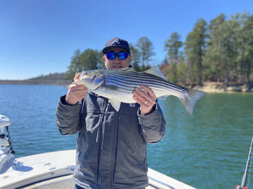 Cumming Report Photo 2